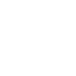 grupo digi